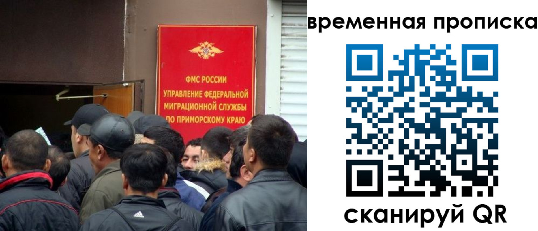 прописка в Пушкино